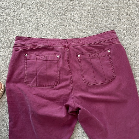 Anthropology, Pilcro the wanderer magenta pants size 18 W excellent condition - Picture 6 of 6